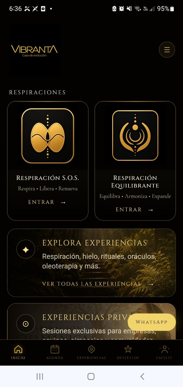 Vista de la Web App Vibranta